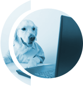 Website and software development